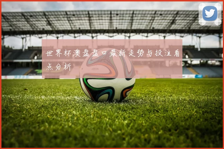 世界杯澳盘盘口最新走势与投注看点分析