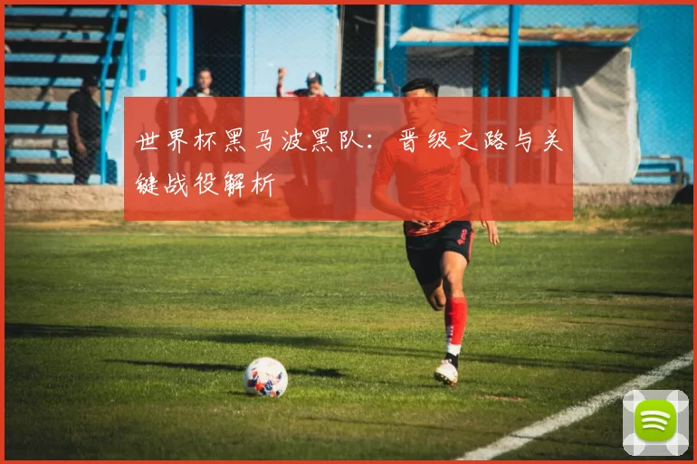 世界杯黑马波黑队：晋级之路与关键战役解析