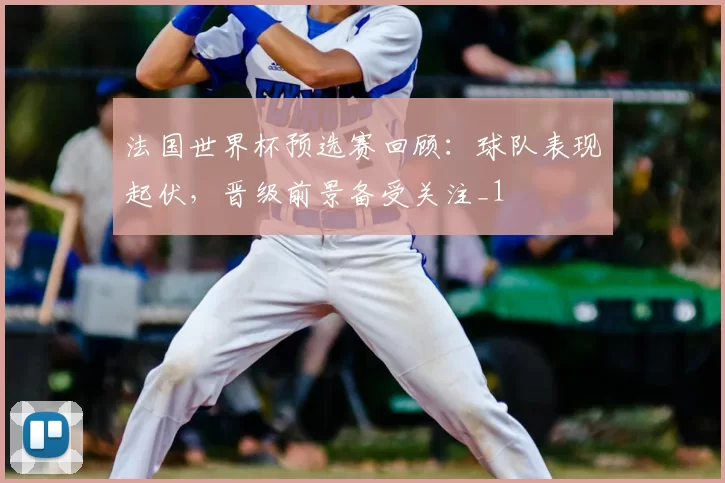 法国世界杯预选赛回顾:球队表现起伏,晋级前景备受关注_1