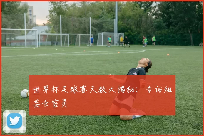 世界杯足球赛天数大揭秘:专访组委会官员