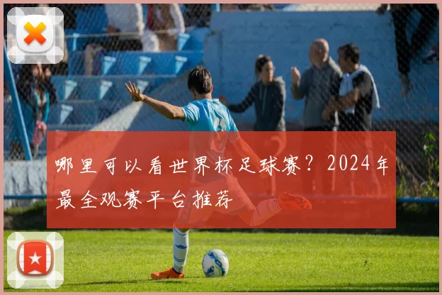 哪里可以看世界杯足球赛?2024年最全观赛平台推荐