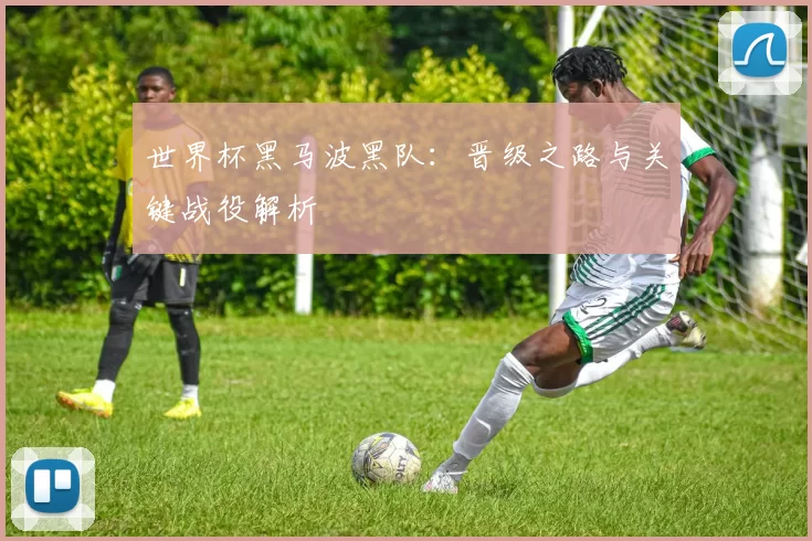 世界杯黑马波黑队:晋级之路与关键战役解析
