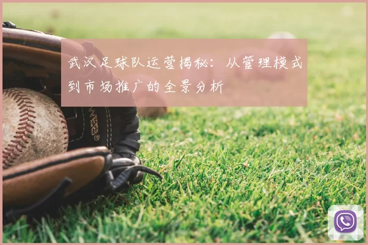 武汉足球队运营揭秘：从管理模式到市场推广的全景分析