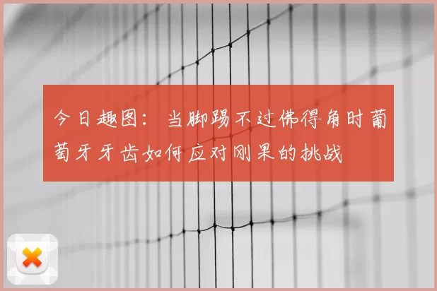 今日趣图：当脚踢不过佛得角时葡萄牙牙齿如何应对刚果的挑战
