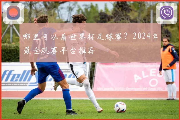 哪里可以看世界杯足球赛?2024年最全观赛平台推荐