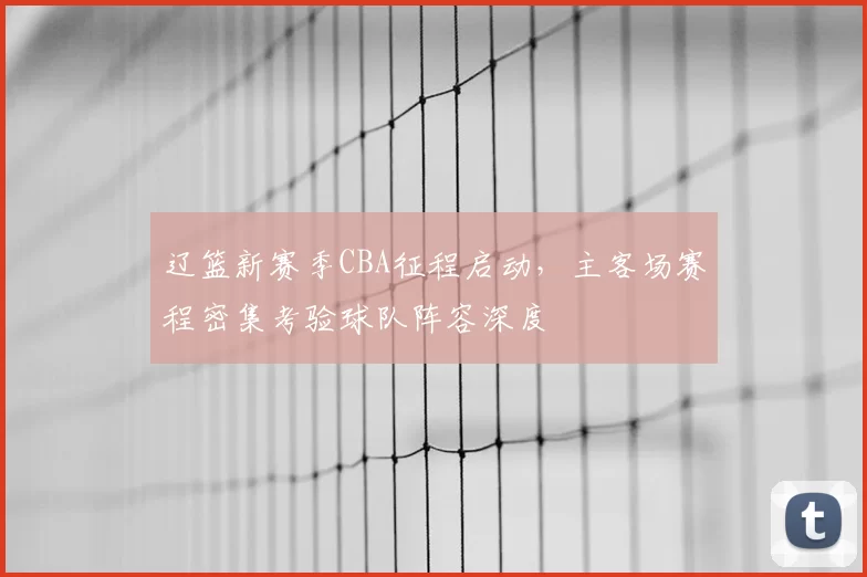 辽篮新赛季CBA征程启动,主客场赛程密集考验球队阵容深度