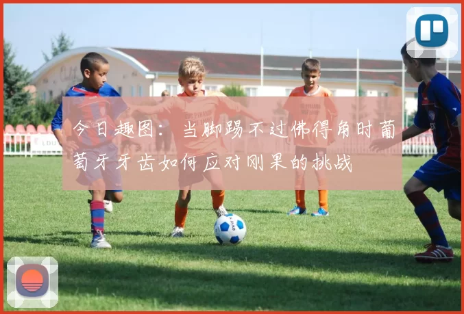 今日趣图：当脚踢不过佛得角时葡萄牙牙齿如何应对刚果的挑战