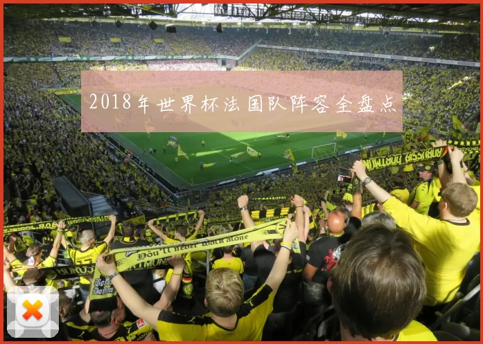 2018年世界杯法国队阵容全盘点