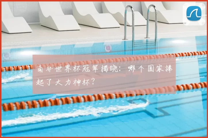 南非世界杯冠军揭晓:哪个国家捧起了大力神杯?