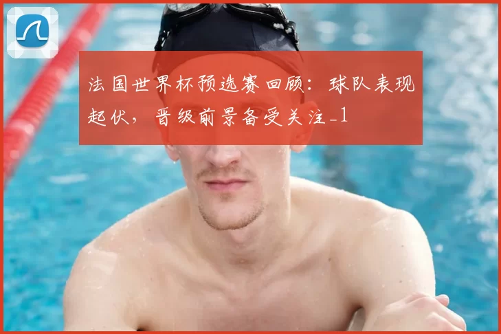 法国世界杯预选赛回顾:球队表现起伏,晋级前景备受关注_1