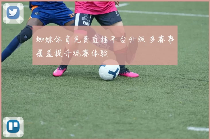 蜘蛛体育免费直播平台升级 多赛事覆盖提升观赛体验